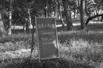 家具・小物市